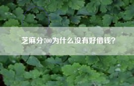 芝麻分700为什么没有好借钱？