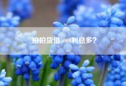 拍拍贷借5000利息多？