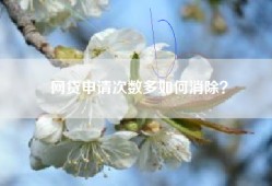 网贷申请次数多如何消除？