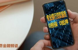 全国首例！警方把无抵押网贷诈骗一窝端，涉案金额2亿