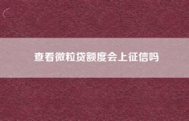 查看微粒贷额度会上征信吗