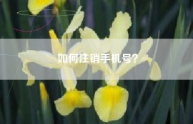 如何注销手机号？