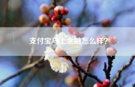 支付宝马上金融怎么样？