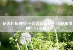 花呗和借呗会不会影响征信？花呗和借呗上征信吗？