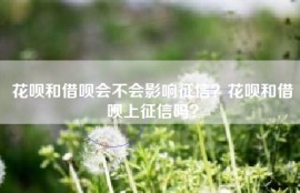 花呗和借呗会不会影响征信？花呗和借呗上征信吗？