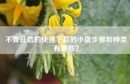 不查征信的快速下款的小贷步骤和种类有哪些？