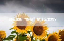 股市里的“解禁”是什么意思？