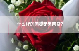 什么样的网贷是黑网贷？