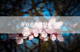 平安小橙花好通过吗