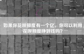 如果你花呗额度有一个亿，你可以利用花呗额度挣到钱吗？