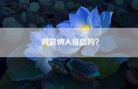 网贷纳入征信吗？