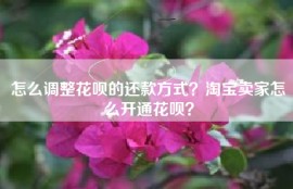 怎么调整花呗的还款方式？淘宝卖家怎么开通花呗？