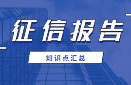 征信知识大全丨征信报告征信点整理丨征信知识汇总（菜单专用）