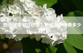 西安哪里可以炒股？炒股最少需要多少钱？