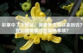 彩票中了大奖后，需要多久可以拿到钱？我们都需要注意哪些事项？