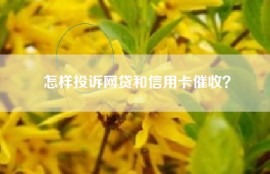 怎样投诉网贷和信用卡催收？