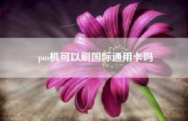 pos机可以刷国际通用卡吗