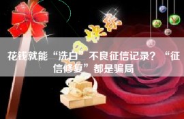 花钱就能“洗白”不良征信记录？“征信修复”都是骗局