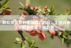 微粒贷贷款利率调降？回应：上线以来平均利率呈下降趋势