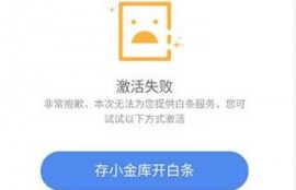 京东白条激活失败什么原因？开通不了解决方法是那些？