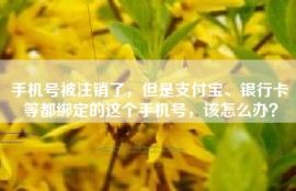 手机号被注销了，但是支付宝、银行卡等都绑定的这个手机号，该怎么办？