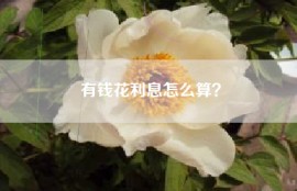 有钱花利息怎么算？