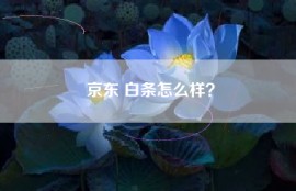 京东 白条怎么样？