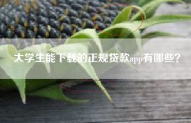 大学生能下载的正规贷款app有哪些？