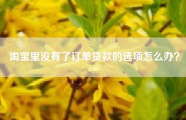 淘宝里没有了订单贷款的选项怎么办？