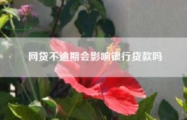 网贷不逾期会影响银行贷款吗