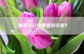 哪里可以快速借到钱呢？