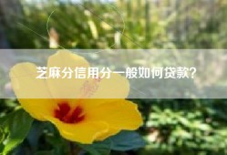 芝麻分信用分一般如何贷款？