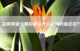 花呗申请分期后是从什么时间开始还款？