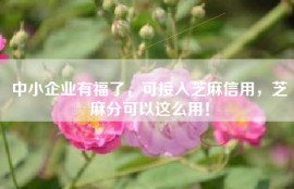 中小企业有福了，可接入芝麻信用，芝麻分可以这么用！