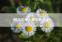 1欧元兑换人民币多少元？