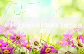 支付宝付款时花呗付款消失了是怎么回事？