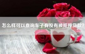 怎么样可以查询车子有没有被抵押贷款？