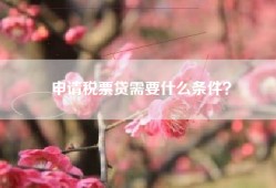 申请税票贷需要什么条件？