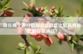 现在哪个银行信用卡提额度比较高而且比较容易通过？