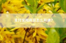 支付宝网商贷怎么开通？