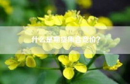 什么是期货集合竞价？