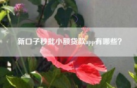 新口子秒批小额贷款app有哪些？