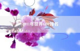 2011年世界GDP排名