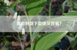 哪些网贷下款快又容易？