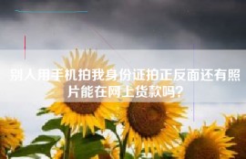 别人用手机拍我身份证拍正反面还有照片能在网上货款吗？