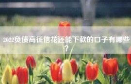 2022负债高征信花还能下款的口子有哪些？