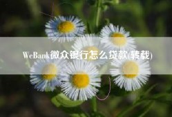 WeBank微众银行怎么贷款(转载)