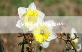 花呗关闭流程有哪些？