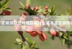 正规贷款公司贷款有什么基本贷款条件？