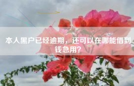 本人黑户已经逾期，还可以在哪能借到钱急用？